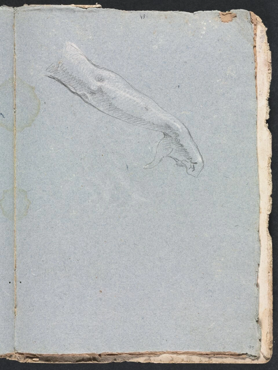 Braccio e mano destri - Cleveland Museum of Art 2